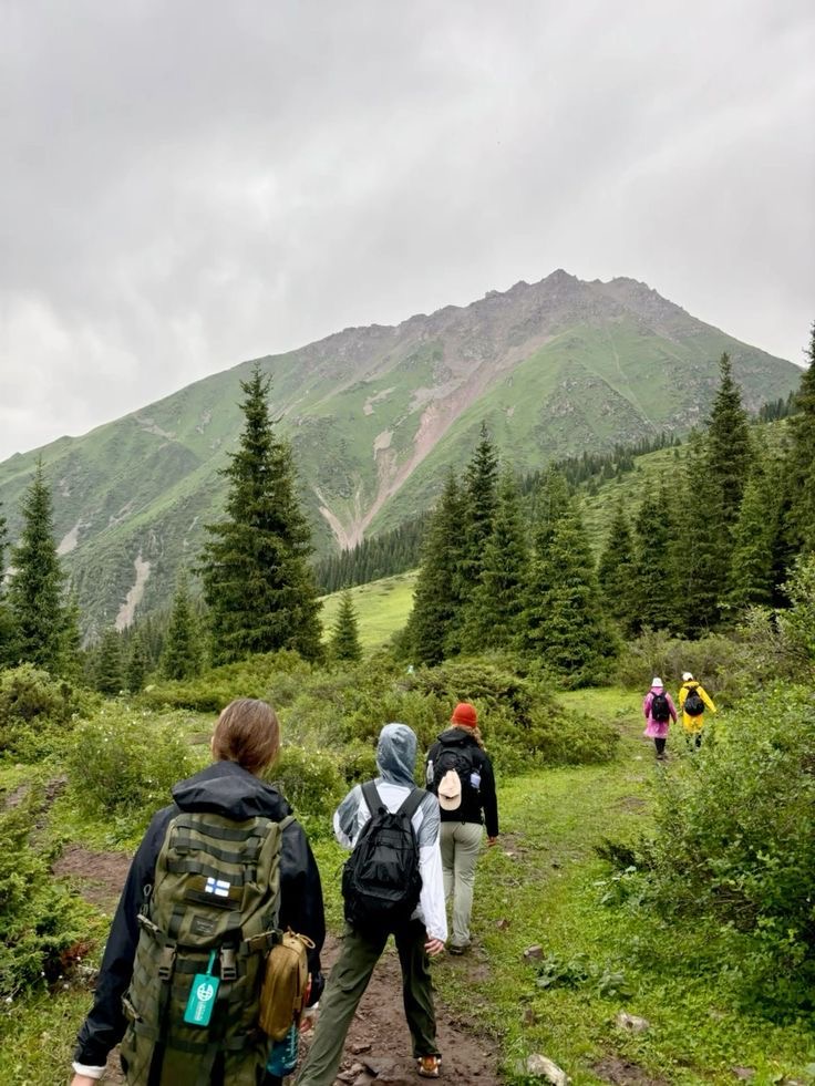 Groupe de personne en randonnée en forêt, on voit une montagne au loin