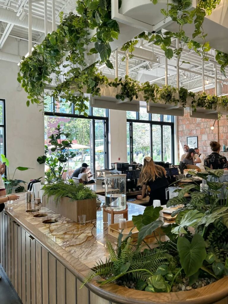 Comptoir d'un café assez moderne avec une décoration axé sur la verdure